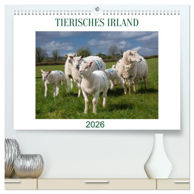 Irland erleben - Wo Schafe, Pferde und Kühe das Landschaftsbild prägen (hochwertiger Premium Wandkalender 2026 DIN A2 quer), Kunstdruck in Hochglanz - Claudia Guth