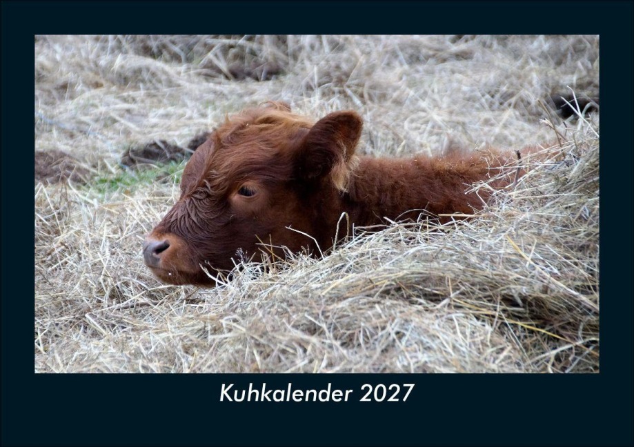 Kuhkalender 2027 Fotokalender DIN A5 - Tobias Schmitt, Kevin Heber