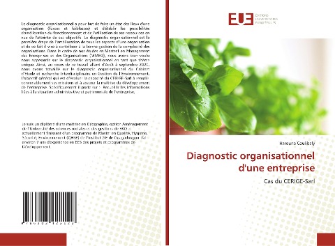 Diagnostic organisationnel d'une entreprise - Harouna Coulibaly