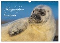 Kegelrobben hautnah (Wandkalender 2024 DIN A3 quer), CALVENDO Monatskalender - Sigrid Starick