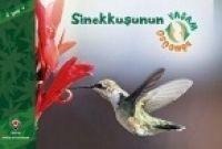 Sinekkusunun Yasam Döngüsü - David M. Schwartz