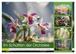 Im Schatten der Orchidee (Wandkalender 2026 DIN A2 quer), CALVENDO Monatskalender - Steffen Gierok-Latniak