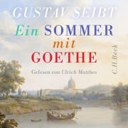 Cover-Bild zum Titel 'Ein Sommer mit Goethe' von 'Gustav Seibt'