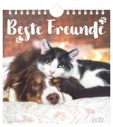 Cover-Bild zum Titel 'Beste Freunde 2027' von ''