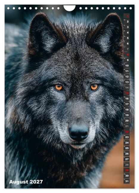InsideView 13