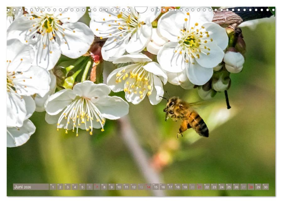 InsideView 11