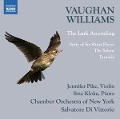 Cover-Bild zum Titel 'The Lark Ascending' von 'Pike/Kloke/Di Vittorio/Chamber Orch. of NY'