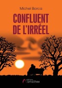 Cover-Bild zum Titel 'Confluent de l'Irréel' von 'Michel Borca'