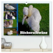 Cover-Bild zum Titel 'Faszination Höckerschwäne (hochwertiger Premium Wandkalender 2026 DIN A2 quer), Kunstdruck in Hochglanz' von 'Babett Paul - Babetts Bildergalerie'