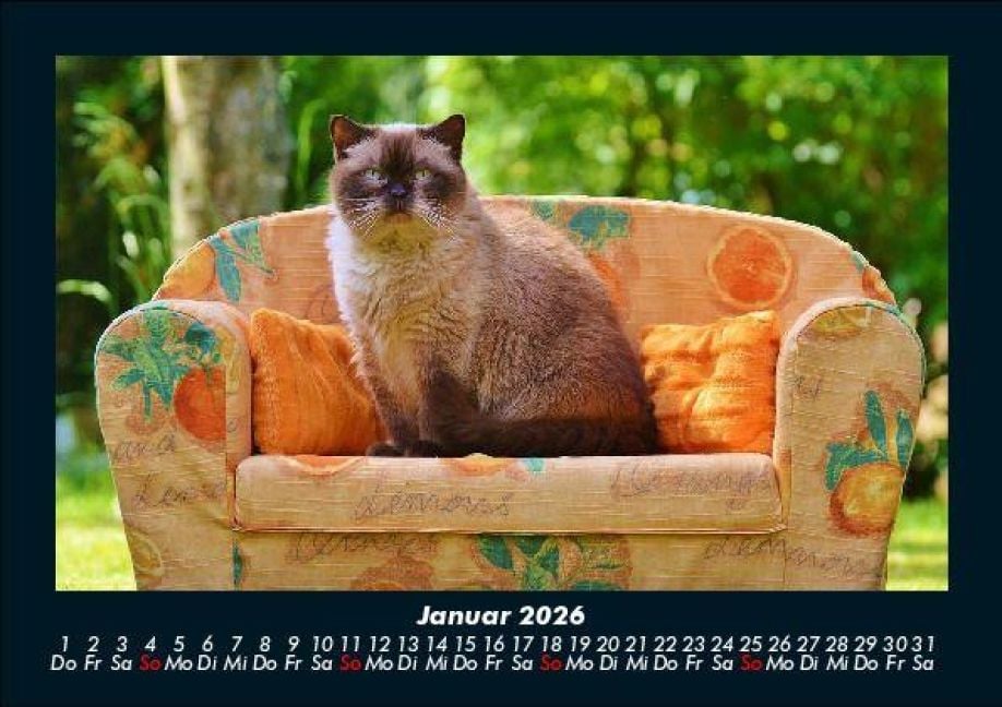 InsideView 5