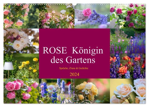 Rose Königin des Gartens (Wandkalender 2024 DIN A2 quer), CALVENDO Monatskalender - Tanja Riedel