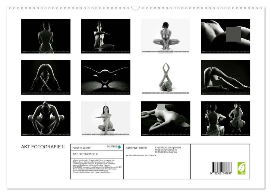 InsideView 4