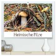 Cover-Bild zum Titel 'Heimische Pilze (hochwertiger Premium Wandkalender 2026 DIN A2 quer), Kunstdruck in Hochglanz' von 'LianeM LianeM'