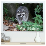 Der kleine Räuber mit Maske - Waschbären (hochwertiger Premium Wandkalender 2026 DIN A2 quer), Kunstdruck in Hochglanz - Arno Klatt