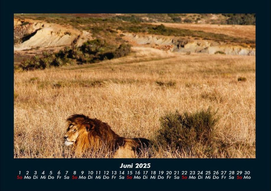 InsideView 10