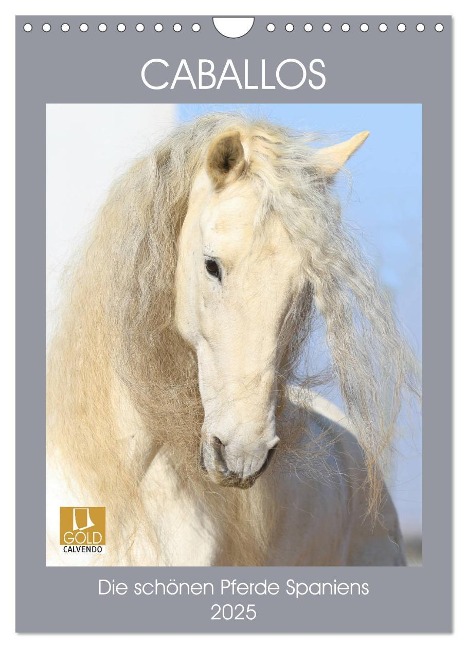 Caballos - Die schönen Pferde Spaniens (Wandkalender 2025 DIN A4 hoch), CALVENDO Monatskalender - Petra Eckerl Tierfotografie