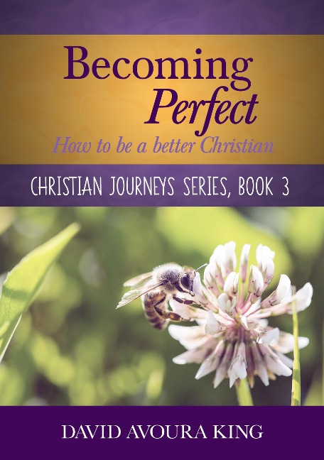 Becoming Perfect: How to Be a Better Christian (Christian Journeys, #3) - David Avoura King