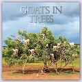 Goats in Trees - Ziegen auf Bäumen 2024 - 16-Monatskalender - Gifted Stationery Co. Ltd