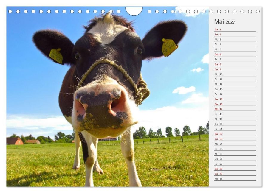 InsideView 10