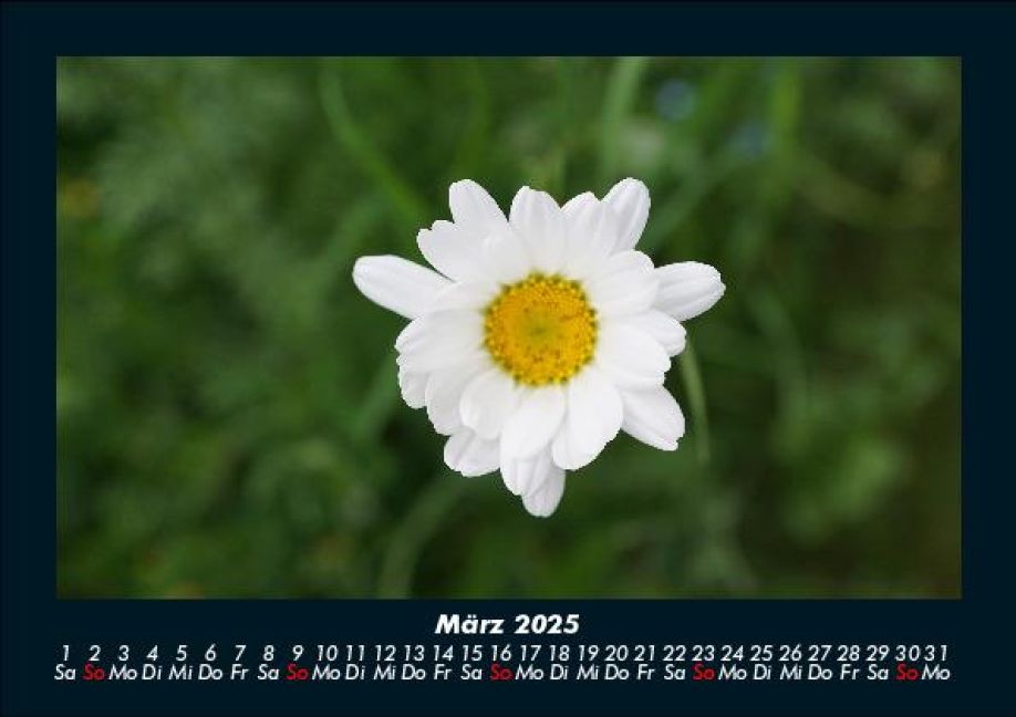 InsideView 7