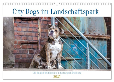 City Dogs im Landschaftspark (Wandkalender 2025 DIN A3 quer), CALVENDO Monatskalender - Fotodesign Verena Scholze