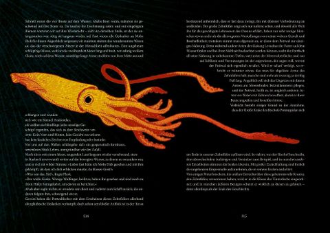 InsideView 15