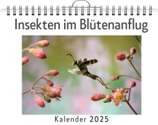 Cover-Bild zum Titel 'Insekten im Blütenanflug - (Wandkalender 2025, Kalender DIN A4 quer, Monatskalender im Querformat mit Kalendarium, das perfekte Geschenk)' von 'Theo Fischer'