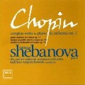Werke Für Klavier Und Orchester Vol.1 - Shebanova/Wojciechowski/Polish Sinfonia