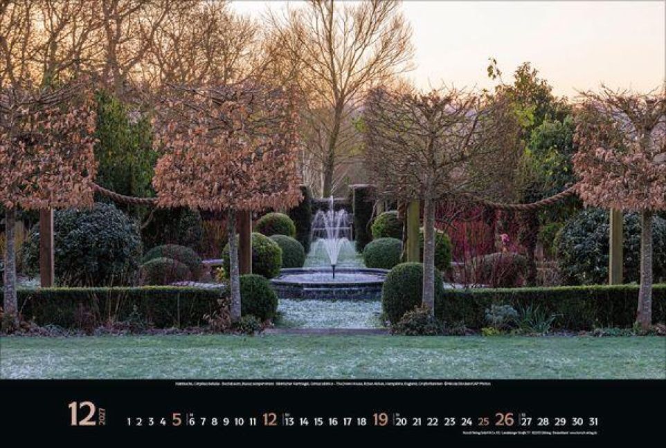 InsideView 12