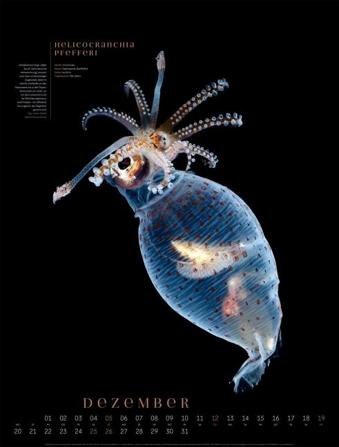 InsideView 12