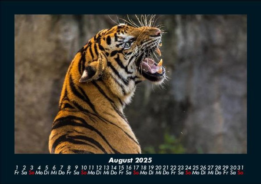 InsideView 12