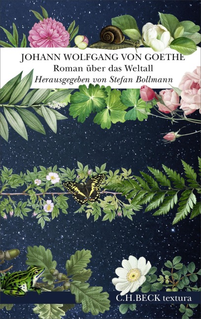 Roman über das Weltall - Johann Wolfgang Goethe