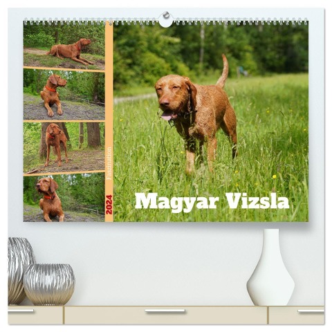 Faszination Magyar Vizsla (hochwertiger Premium Wandkalender 2024 DIN A2 quer), Kunstdruck in Hochglanz - Babett Paul - Babetts Bildergalerie