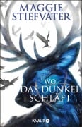 Cover-Bild zum Titel 'Wo das Dunkel schläft' von 'Maggie Stiefvater'
