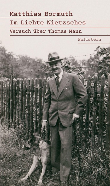 Im Lichte Nietzsches - Matthias Bormuth