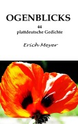 Cover-Bild zum Titel 'Ogenblicks' von 'Erich Meyer'