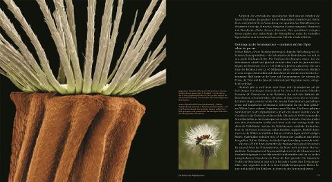 InsideView 3