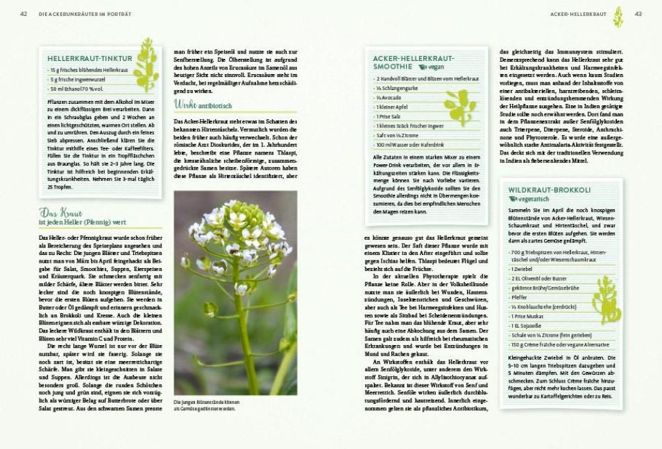 InsideView 4