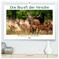Die Brunft der Hirsche (hochwertiger Premium Wandkalender 2024 DIN A2 quer), Kunstdruck in Hochglanz - Roland Brack