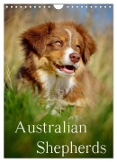 Australian Shepherds (Wandkalender 2026 DIN A4 hoch), CALVENDO Monatskalender - Nicole Noack