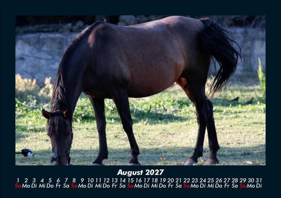 InsideView 12