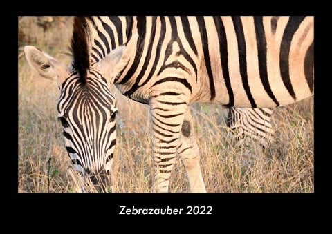Zebrazauber 2022 Fotokalender DIN A3 - Tobias Becker