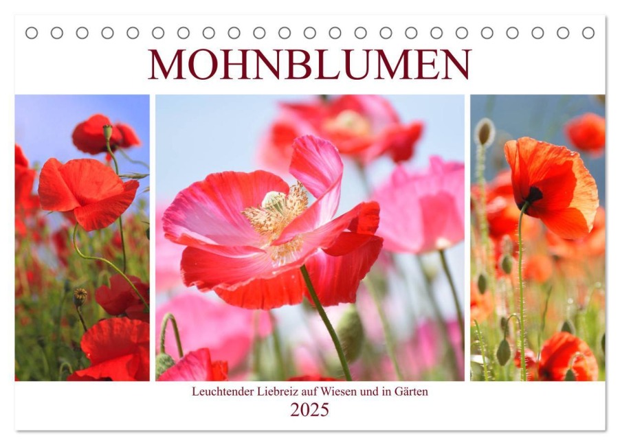 Mohnblumen. Leuchtender Liebreiz auf Wiesen und in Gärten (Tischkalender 2025 DIN A5 quer), CALVENDO Monatskalender - Rose Hurley