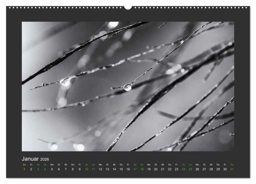 InsideView 5