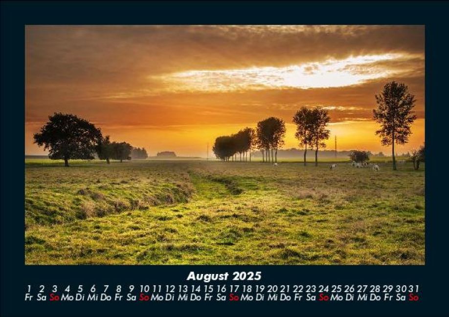 InsideView 12