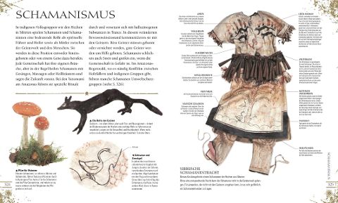 InsideView 15