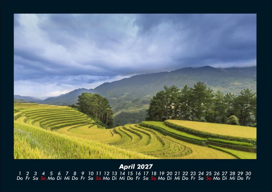 InsideView 8