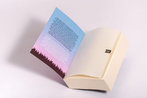 InsideView 4