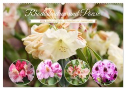 Cover-Bild zum Titel 'Rhododendren und Poesie (Wandkalender 2026 DIN A2 quer), CALVENDO Monatskalender' von 'Gisela Kruse'