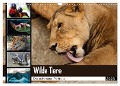 Wilde Tiere - Die schönsten Portraits (Wandkalender 2025 DIN A3 quer), CALVENDO Monatskalender - Sylke Enderlein - Bethari Bengals